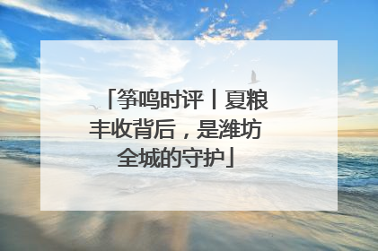 筝鸣时评丨夏粮丰收背后，是潍坊全城的守护
