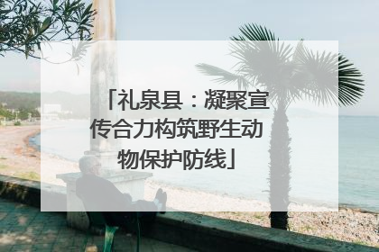 礼泉县：凝聚宣传合力构筑野生动物保护防线