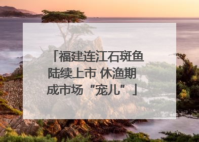 福建连江石斑鱼陆续上市 休渔期成市场“宠儿”