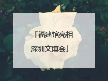 福建馆亮相深圳文博会