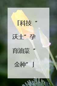 科技“沃土”孕育油菜“金种”