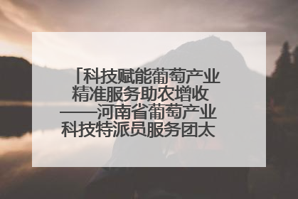 科技赋能葡萄产业 精准服务助农增收——河南省葡萄产业科技特派员服务团太康县科技服务纪实