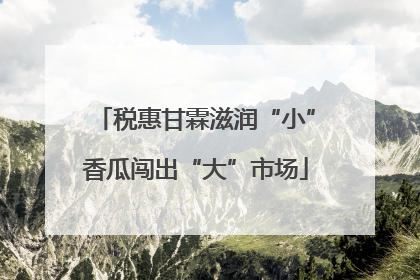税惠甘霖滋润“小”香瓜闯出“大”市场