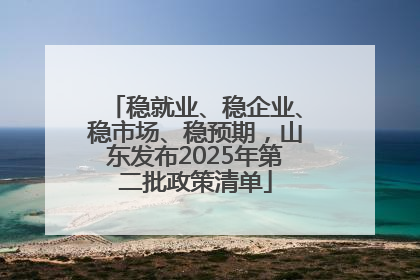 稳就业、稳企业、稳市场、稳预期，山东发布2025年第二批政策清单