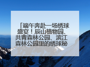 端午奔赴一场绣球盛宴！辰山植物园、共青森林公园、滨江森林公园里的绣球秘境在这里