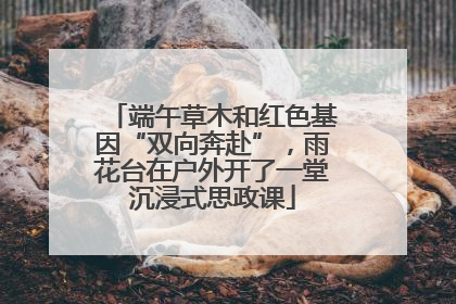 端午草木和红色基因“双向奔赴”，雨花台在户外开了一堂沉浸式思政课