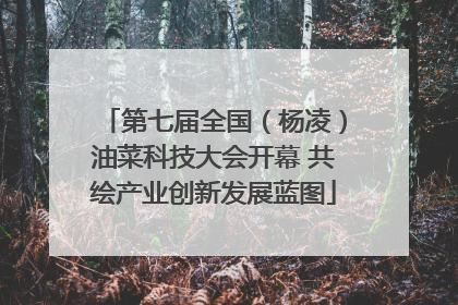 第七届全国（杨凌）油菜科技大会开幕 共绘产业创新发展蓝图