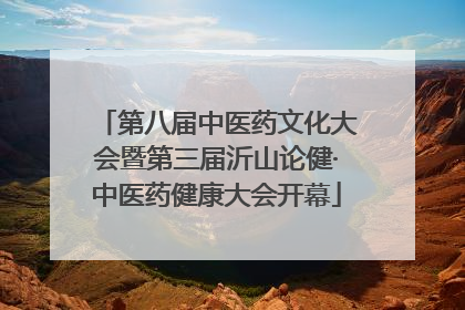第八届中医药文化大会暨第三届沂山论健·中医药健康大会开幕