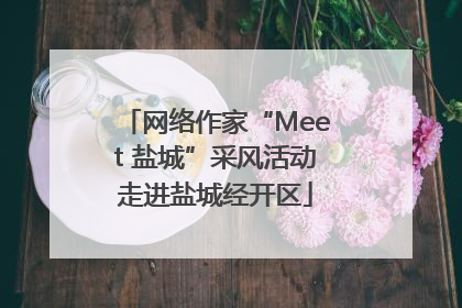 网络作家“Meet 盐城”采风活动走进盐城经开区