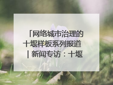 网络城市治理的十堰样板系列报道｜新闻专访：十堰为什么成为“黑马型”城市治理网络维度典型