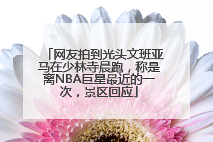 网友拍到光头文班亚马在少林寺晨跑，称是离NBA巨星最近的一次，景区回应