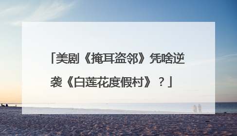 美剧《掩耳盗邻》凭啥逆袭《白莲花度假村》？
