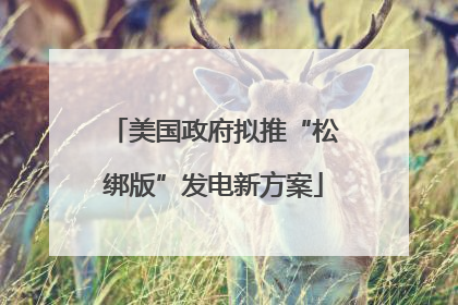 美国政府拟推“松绑版”发电新方案