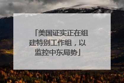 美国证实正在组建特别工作组，以监控中东局势