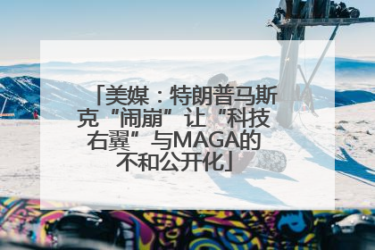 美媒：特朗普马斯克“闹崩”让“科技右翼”与MAGA的不和公开化