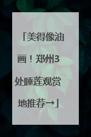美得像油画！郑州3处睡莲观赏地推荐→