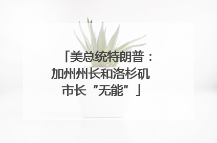 美总统特朗普：加州州长和洛杉矶市长“无能”