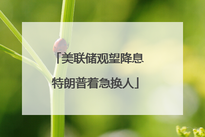 美联储观望降息 特朗普着急换人