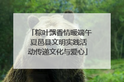 粽叶飘香情暖端午 夏邑县文明实践活动传递文化与爱心