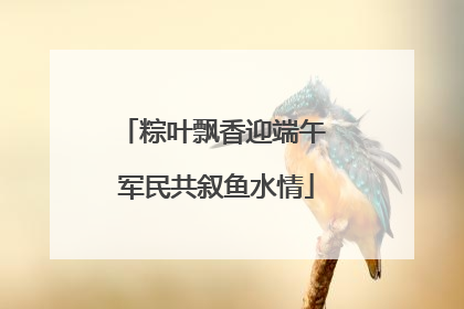 粽叶飘香迎端午 军民共叙鱼水情