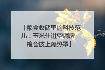 粮食收储里的科技范儿：玉米住进空调房 粮仓披上隔热罩