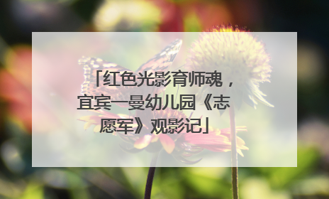 红色光影育师魂，宜宾一曼幼儿园《志愿军》观影记