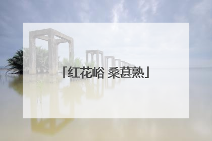 红花峪 桑葚熟