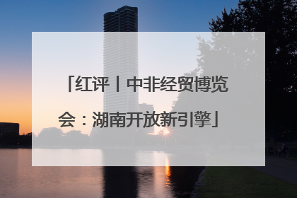 红评丨中非经贸博览会：湖南开放新引擎