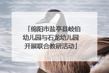 绵阳市盐亭县岐伯幼儿园与石龙幼儿园开展联合教研活动