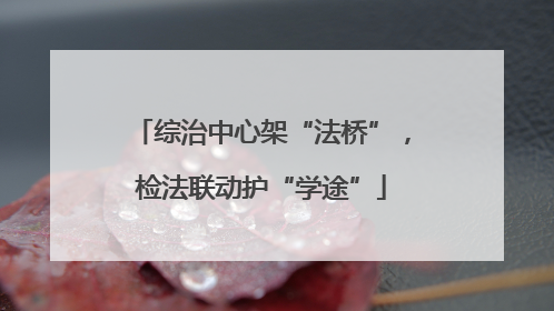 综治中心架“法桥”，检法联动护“学途”