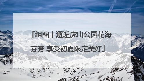 组图丨邂逅虎山公园花海芬芳 享受初夏限定美好