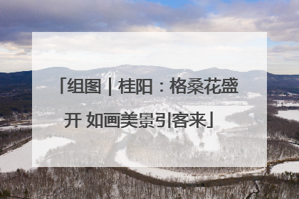 组图｜桂阳：格桑花盛开 如画美景引客来