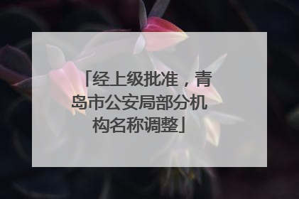经上级批准，青岛市公安局部分机构名称调整