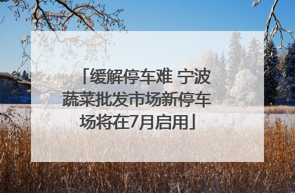 缓解停车难 宁波蔬菜批发市场新停车场将在7月启用