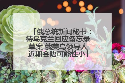 俄总统新闻秘书：待乌克兰回应备忘录草案 俄美乌领导人近期会晤可能性小