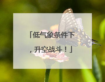 低气象条件下，升空战斗！