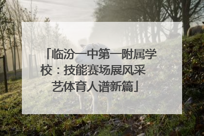 临汾一中第一附属学校：技能赛场展风采 艺体育人谱新篇