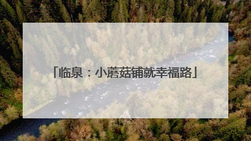 临泉：小蘑菇铺就幸福路