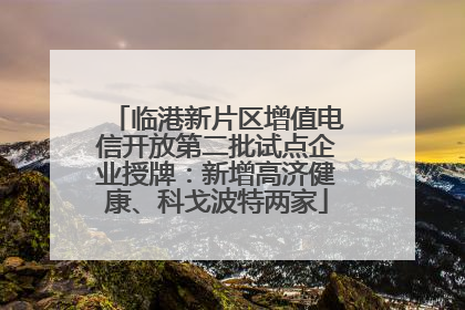 临港新片区增值电信开放第二批试点企业授牌：新增高济健康、科戈波特两家