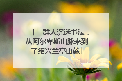 一群人沉迷书法，从阿尔卑斯山脉来到了绍兴兰亭山麓