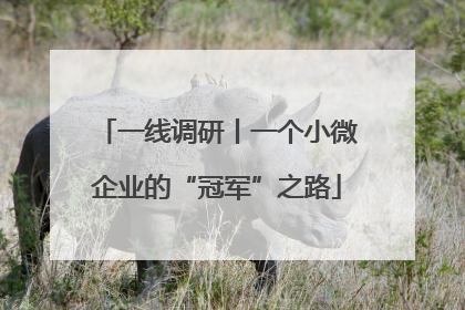 一线调研丨一个小微企业的“冠军”之路