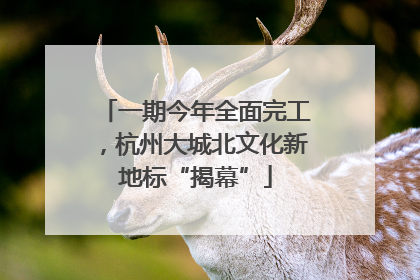 一期今年全面完工，杭州大城北文化新地标“揭幕”