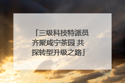 三级科技特派员齐聚咸宁茶园 共探转型升级之路