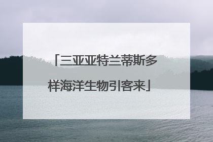 三亚亚特兰蒂斯多样海洋生物引客来