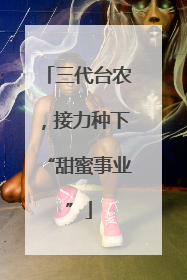 三代台农，接力种下“甜蜜事业”
