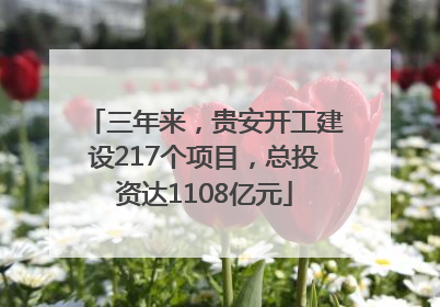 三年来，贵安开工建设217个项目，总投资达1108亿元