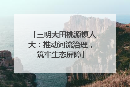 三明大田桃源镇人大：推动河流治理，筑牢生态屏障