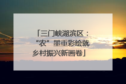 三门峡湖滨区：“农”墨重彩绘就乡村振兴新画卷