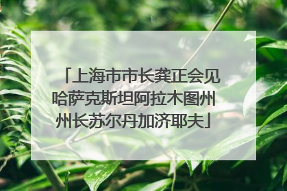 上海市市长龚正会见哈萨克斯坦阿拉木图州州长苏尔丹加济耶夫