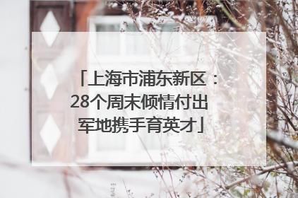 上海市浦东新区：28个周末倾情付出 军地携手育英才